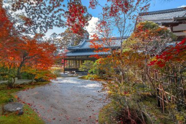 Japonya 'nın Kyoto kentinde sonbaharda güzel yeşillikleri olan Tenju-an tapınağının manzarası.