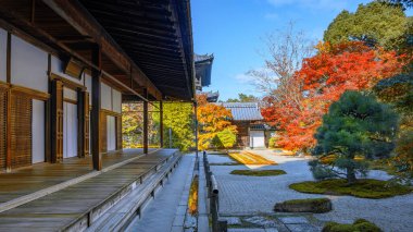 Japonya 'nın Kyoto kentinde sonbaharda güzel yeşillikleri olan Tenju-an tapınağının manzarası.
