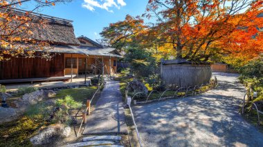 Japonya, Kyoto 'da sonbaharda güzel yeşilliklerle Hogon-in Tapınağı manzarası