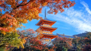 Kyoto, Japonya 'da sonbaharda güzel yeşillikleri olan Kiyomizu-dera tapınağının manzarası.
