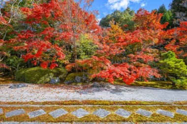 Japonya 'nın Kyoto kentinde sonbaharda güzel yeşillikleri olan Tenju-an tapınağının manzarası.