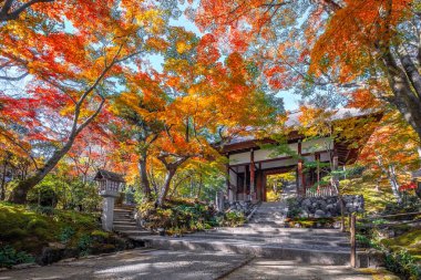 Japonya, Kyoto 'da sonbaharda güzel yeşilliklerle Jojakkoji Tapınağı manzarası