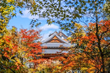 Japonya 'nın Kyoto kentinde sonbaharda güzel yeşillikleri olan Tenju-an tapınağının manzarası.