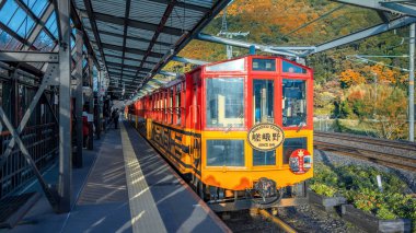 Kyoto, Japonya - 21 Kasım 2024: Japonya 'nın Kyoto kentinde sonbaharda güzel yeşillikleri olan Sagano Romantik Treni