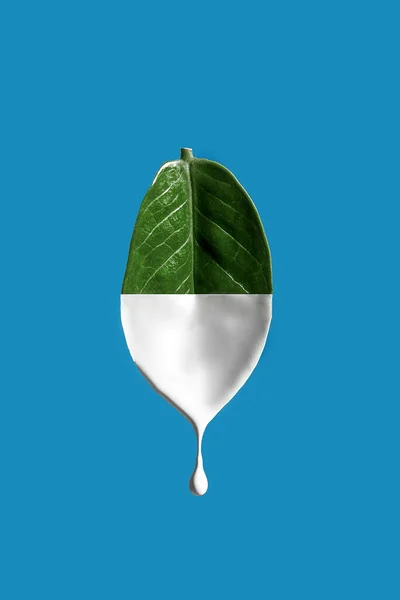 The levitating leaf of the plant is half painted white. Paint dripping down. The concept of cosmetic natural creams