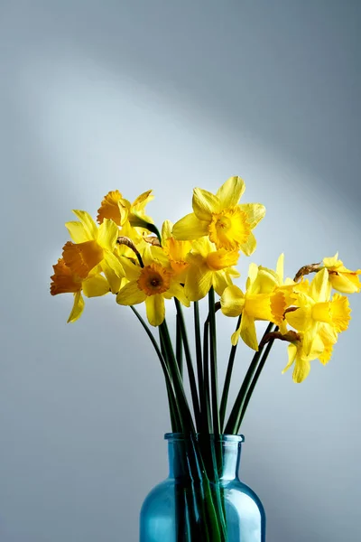 Bouquet Yellow Daffodils Blue Vase Wall Poster Postcard Narcissus — Stock Photo, Image