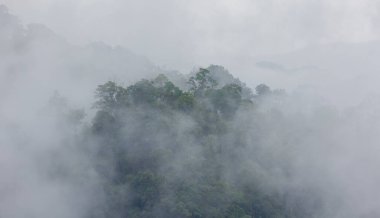 Yağmur durduktan sonra dağın tepelerinde beyaz bir sis yükselir..