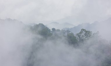 Yağmur durduktan sonra dağın tepelerinde beyaz bir sis yükselir..
