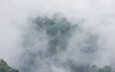 Yağmur durduktan sonra dağın tepelerinde beyaz bir sis yükselir..