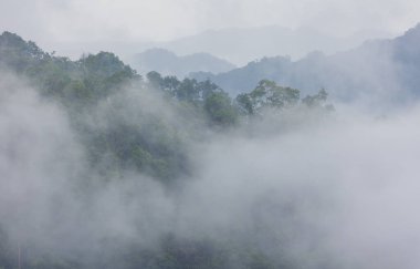 Yağmur durduktan sonra dağın tepelerinde beyaz bir sis yükselir..