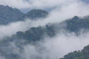 Yağmur durduktan sonra dağın tepelerinde beyaz bir sis yükselir..