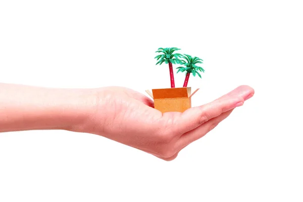 Miniatur Versandbox Mit Spielzeugpalmen Der Hand Isoliert Auf Weiß Kreatives — Stockfoto