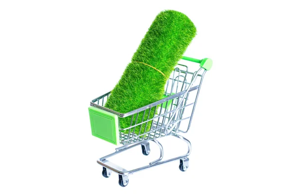 Rulla Plast Gräs Leksak Push Vagn Isolerad Shopping För Användbar — Stockfoto