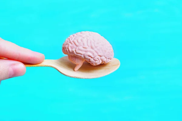 Mano Sosteniendo Una Cuchara Madera Con Modelo Cerebro Humano Miniatura — Foto de Stock