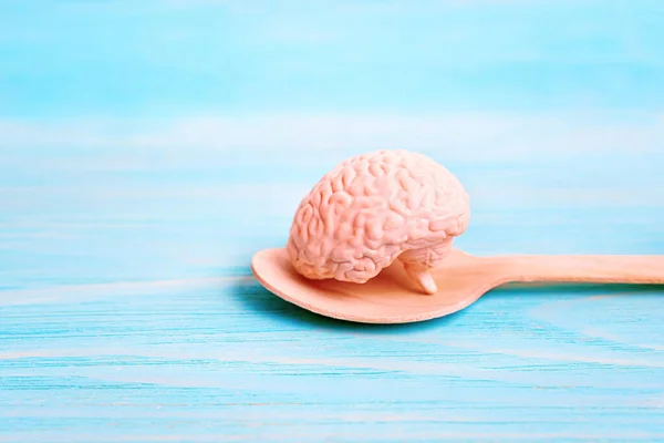 Concepto Relacionado Con Dieta Orgánica Saludable Para Cerebro Modelo Cerebral — Foto de Stock