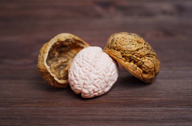 Kırık ceviz ve insan beyninin küçük bir kopyası ahşap bir arka planda izole edilmiş. Kavrama ve beyin sağlığı kavramı.