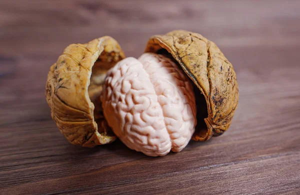 Tahta bir arka planda izole edilmiş fındık kabuğundaki insan beyninin minyatür kopyası. Beyin gıdası temel konsepti.