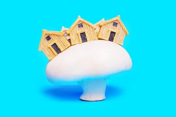 Wooden House Figurines Large White Mushroom Isolated Blue Background Real — Stock Photo, Image