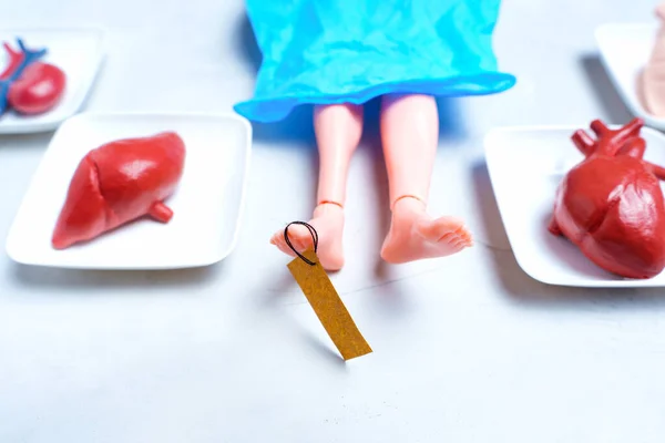 The Art of Forensic Investigation: doll with a toe tag covered with a blue sheet and trays with toy human organs.