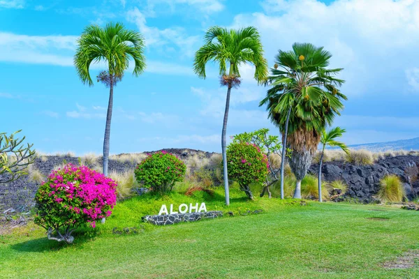 10. Aloha sign set amongst a picturesque garden oasis, complete with blooming flowers, towering palm trees, and lush greenery. Serene atmosphere and natural beauty ideal for travel brochures.