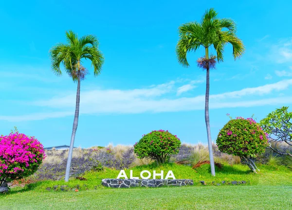 Aloha sign set among a lush tropical landscape, complete with palm trees, vibrant blooming trees and a stunning blue sky.