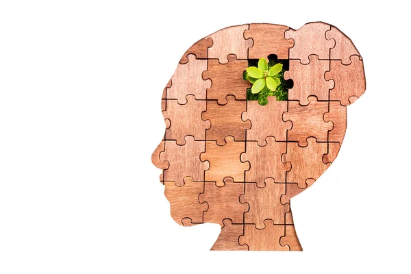 Young Plant Seen Missing Piece Female Head Jigsaw Puzzle Isolated — Stockfoto