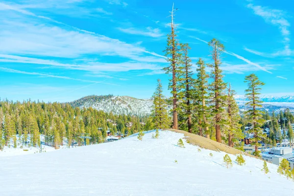 常緑樹の森の中に位置するスキー村の素晴らしい景色は 青い空が完璧な背景を提供します 明るく晴れた日は風景の自然の美しさを強調しています — ストック写真