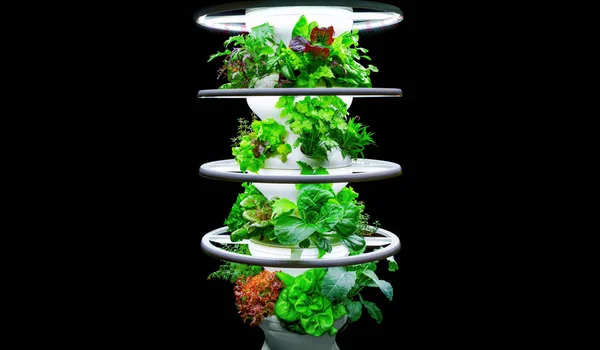 专为在家中种植新鲜色拉和蔬菜而设计的光滑多级摊位 由优质白色塑料制成 并配备照明系统 — 图库照片