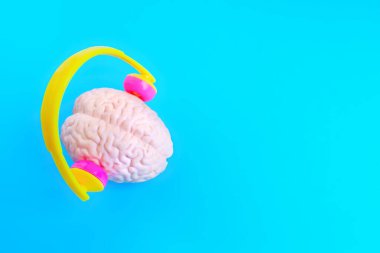 Anatomik insan beyni modeli bir çift kulaklık takıyor, parlak mavi bir arka plan üzerine kurulmuş. Müzik, yaratıcılık ve eğitimle ilgili konsept.