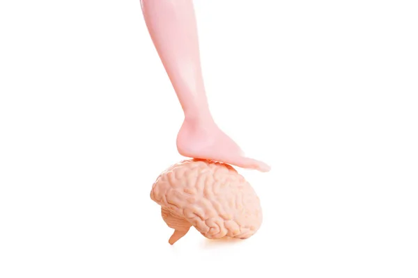 Close-up view of a doll\'s foot resting on top of a detailed anatomical model of a human brain isolated on a white background. Mind-body problem related concept.
