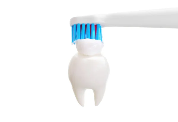 Close View Electric Toothbrush Applying Toothpaste Tooth Model Regular Dental — Stock Photo, Image