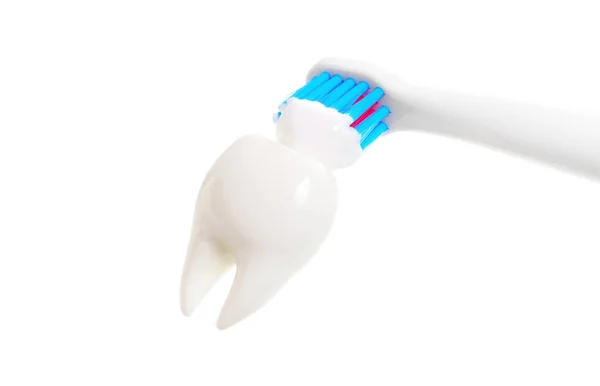 Close View Tooth Model Being Cleaned Electric Toothbrush Toothpaste Isolated — Stock Photo, Image