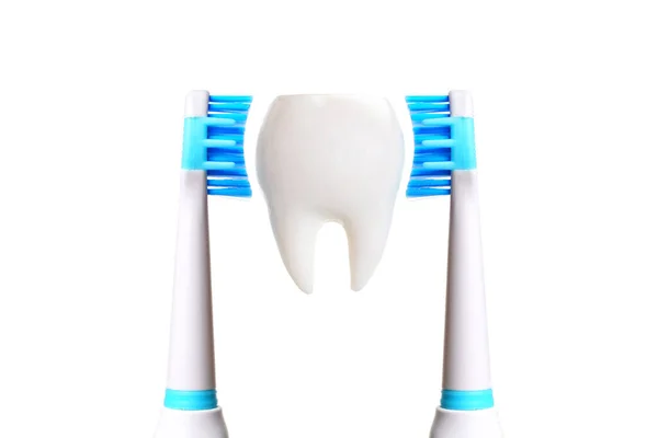 Close Large Tooth Model Placed Two Electric Toothbrushes Blue Bristles — Stock Photo, Image