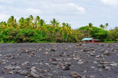 Büyük, siyah, volkanik kayalarla kaplı bir sahil şeridi Hawaii adasının yemyeşil yeşilliğine sıkışmış kırmızı bir sahil evine çıkıyor..