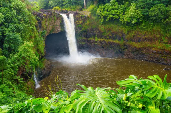 Wailuku Nehri Eyalet Parkı Şelalesi yeşillik çerçeveli.