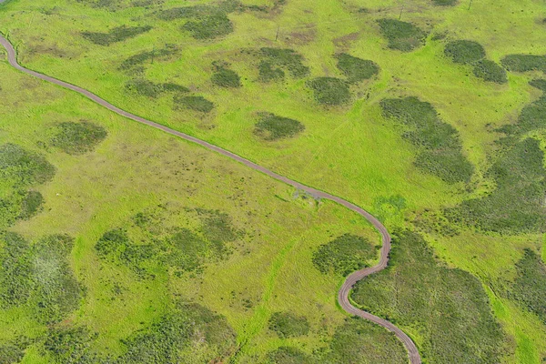 Aerial View of Winding Dirt Road on a Green Plain