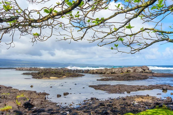 Дивовижний Краєвид Узбережжя Гаваїв Обрамлений Драматичним Освітленням Деревами Роздуми Спокійних — стокове фото