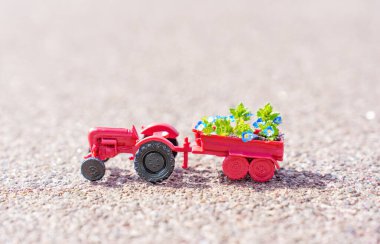 Minyatür oyuncak traktörü rengarenk bahar çiçekleriyle dolu bir çiçek tarhını taşırken görülüyor, kentsel ortamda bahar manzarası fikrini temsil ediyor..