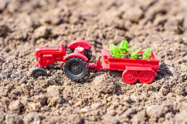 Bahar çiftliği: Oyuncak traktör bir sürü genç bitki taşıyor. Taşralı, tarımsal ortam ve traktör ve fidelerin parlak renkleri tazelik ve yeni başlangıçlar hissi veriyor..