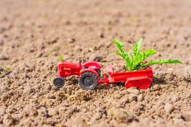 Kırmızı oyuncak traktör taze sürülmüş toprakta duruyor, karavanında yeşil lahanalar var, bahar çiftçiliği kavramını sembolize ediyor..