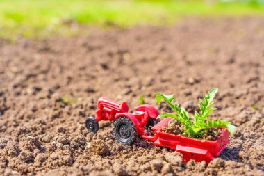 Karavanında küçük yeşil fidanlı kırmızı oyuncak traktör, çiftlikte sebze ekme sürecini temsil eden yeni sürülmüş toprağa park edilmiştir. Sağlıklı beslenme ve kendi kendine yetme kavramı.