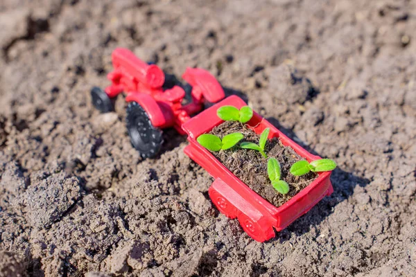 장난감 트랙터는 농장에서 용수철 작업이라는 개념을 나타내는 식물을 주택에 싣는다 — 스톡 사진