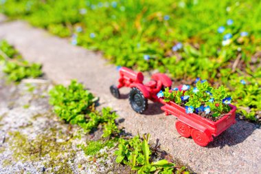 Oyuncak traktörün karavanında taze bahar çiçekleri olan küçük bir çiçek tarhı güneşli bir günde güzel bir bahçeye yerleştirilir. Parlak bahçe arka planı.