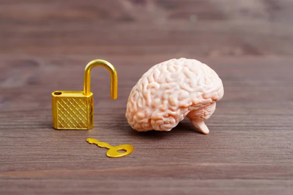 Anatomical human brain model, open padlock and key placed on a dark wooden table, representing the concept of unlocking the potential of the human mind or overcoming mental obstacles.