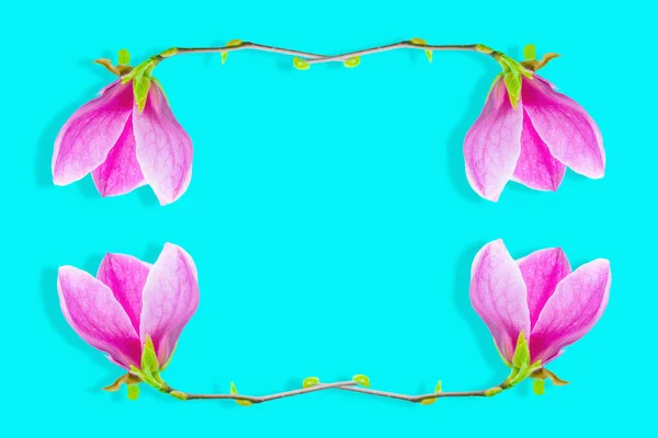 Floral Frame Made Magnolia Flowers Set Vibrant Blue Background — Stock Photo, Image
