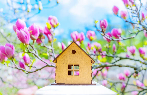 Small wooden house model set against a blooming pink magnolia tree with a blue sky background.