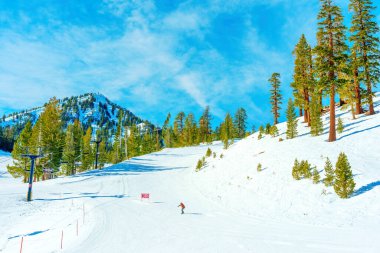 Snowboardcu güneşli bir kış gününde bir kayak merkezinin yamacından aşağı iner..
