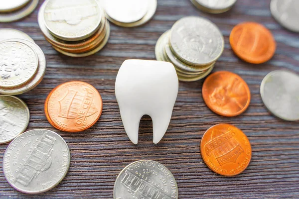 Bílý Čistý Model Lidského Zubu Umístěn Mezi Hromadou Roztroušených Mincí — Stock fotografie