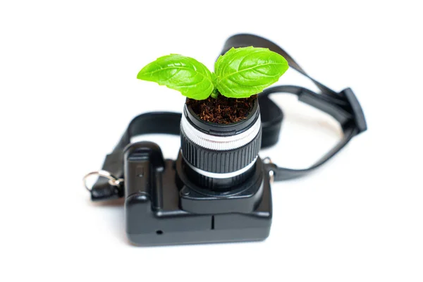 Close Broto Concurso Delicadamente Emergindo Lente Uma Câmera Miniatura Encapsulando — Fotografia de Stock