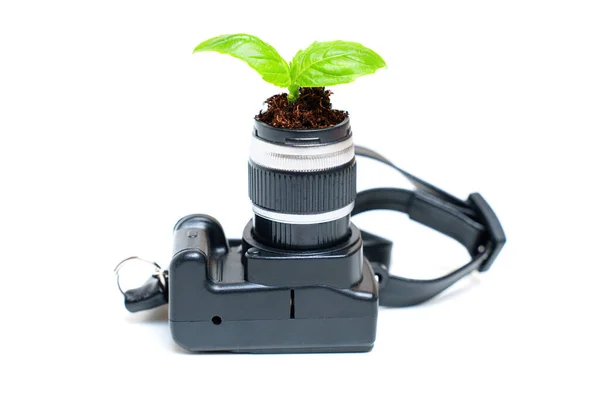 Young plant emerges with grace from the lens of a miniature camera, symbolizing the concept of talent development and creative exploration.